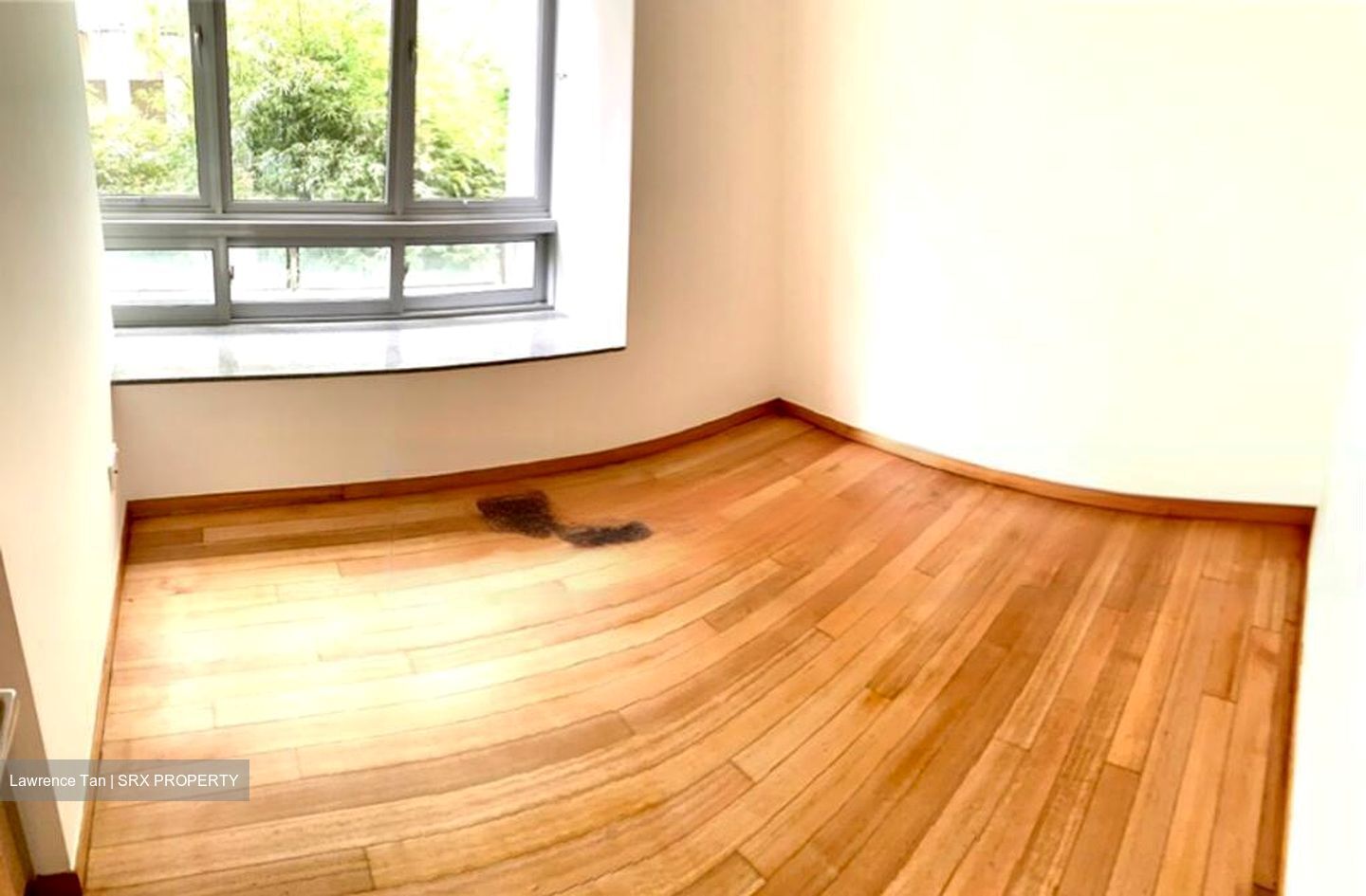 8 @ Mount Sophia (D9), Condominium #544872591